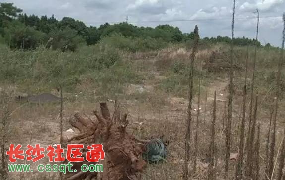 截圖